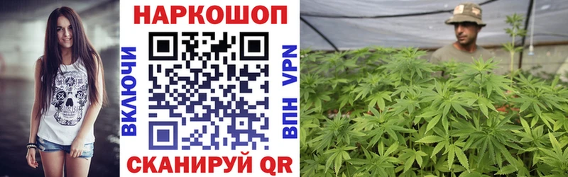 Купить закладку Марихуана  Меф мяу мяу  Псилоцибиновые грибы  ГАШИШ  A-PVP  Михайлов