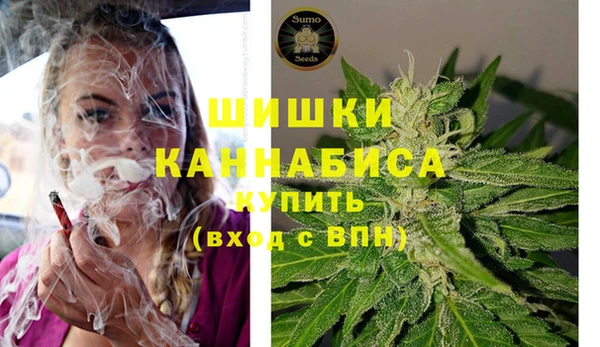 apvp Костерёво
