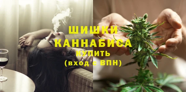 apvp Костерёво