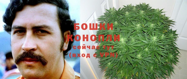 apvp Костерёво