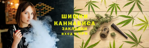 СК Кодинск